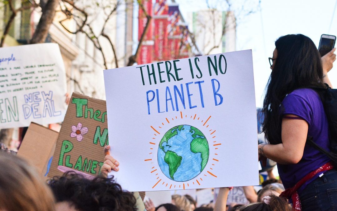 Woman in a large crowd and sign says There is no planet B